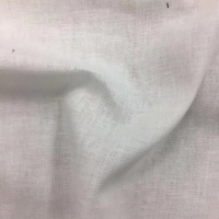 S55457样布 (FLAX POLYESTER WHITE AND/OR DYED POPLIN，199.00g/m<sup>2</sup>)