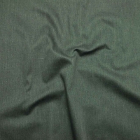 S80501样布 (T/C 23s TWILL，172.00g/m<sup>2</sup>)