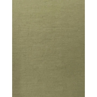 S888大货 (NYLON TAFFETA(WATER REPELLENT)，55.00g/m<sup>2</sup>)
